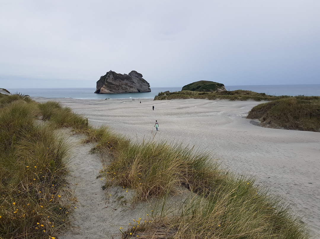 Wharariki Beach Walking Track景点图片