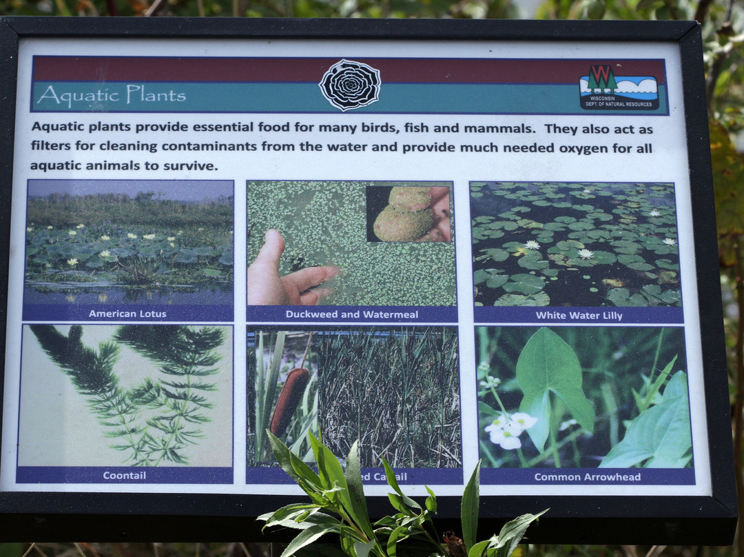 Browntown-cadiz Springs State Recreation Area-Browntown必去景点