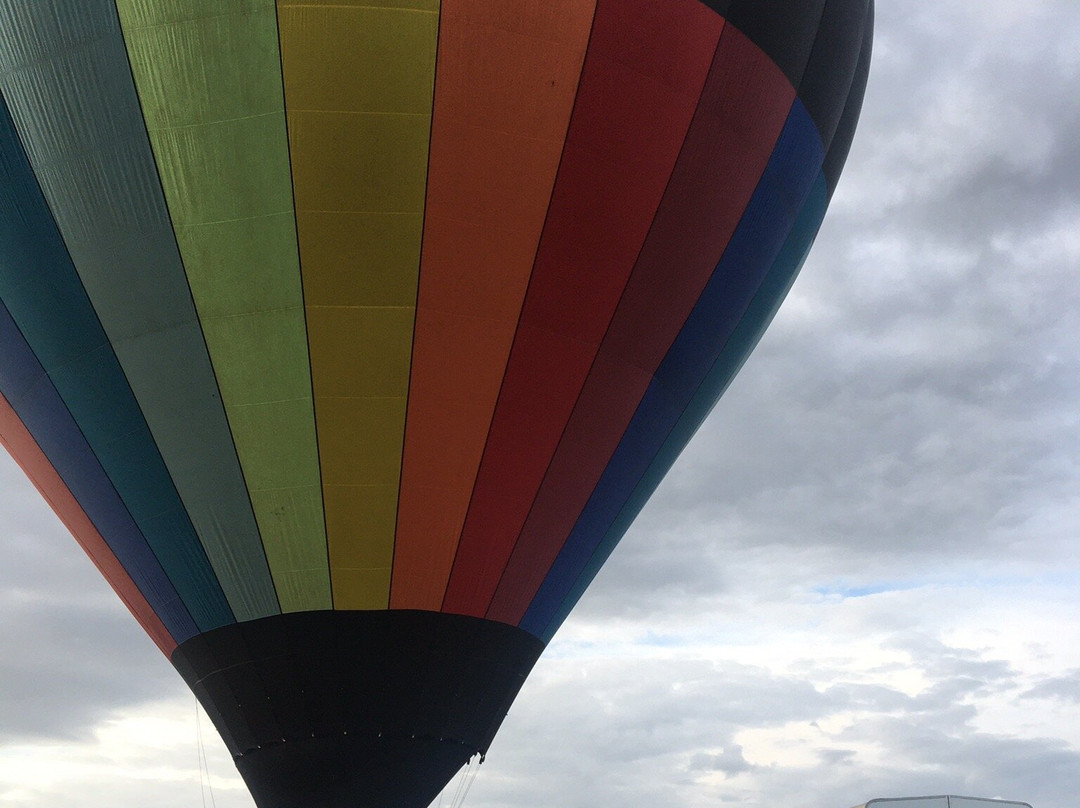 Kiwi Balloon Company-汉密尔顿必去景点