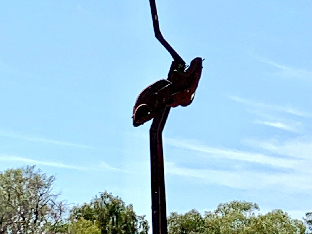 Stanley the Emu-Lightning Ridge必去景点