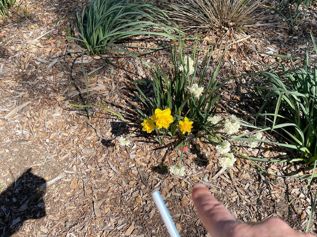 Descanso Gardens-拉肯纳达石岭必去景点