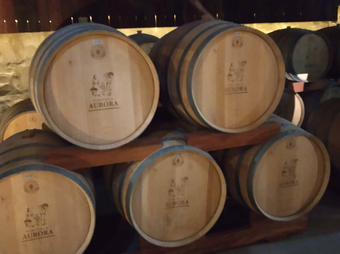 Vitóriatur-格拉玛多必去景点