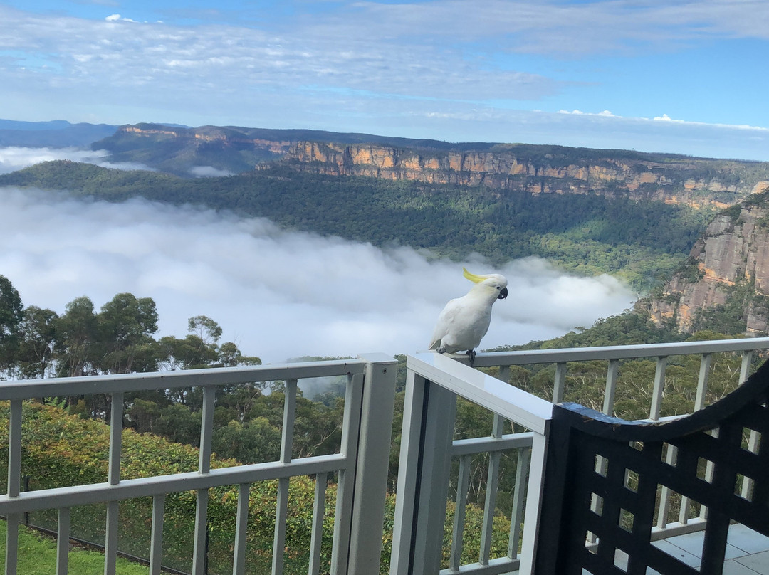 回声餐饮精品酒店主图
