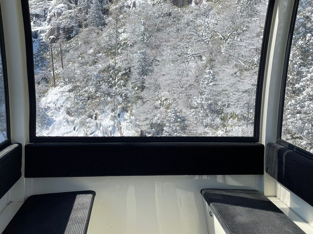 Gozaisho Ropeway景点图片