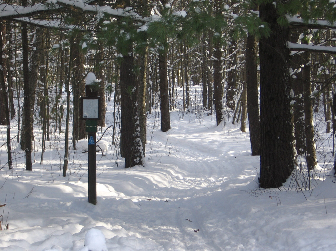 LogHaven Bed & Breakfast主图