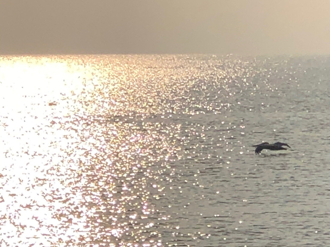 Laguna Madre Nature Trail景点图片