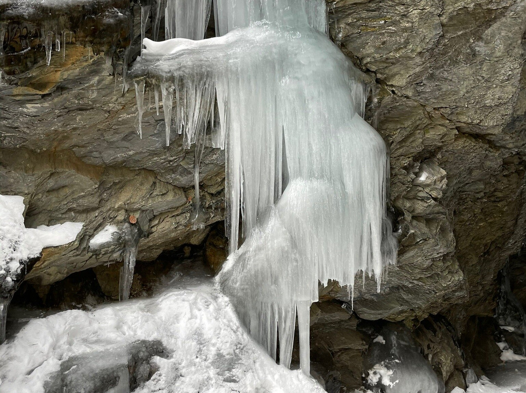 Steep Rock Preserve-Washington Depot必去景点