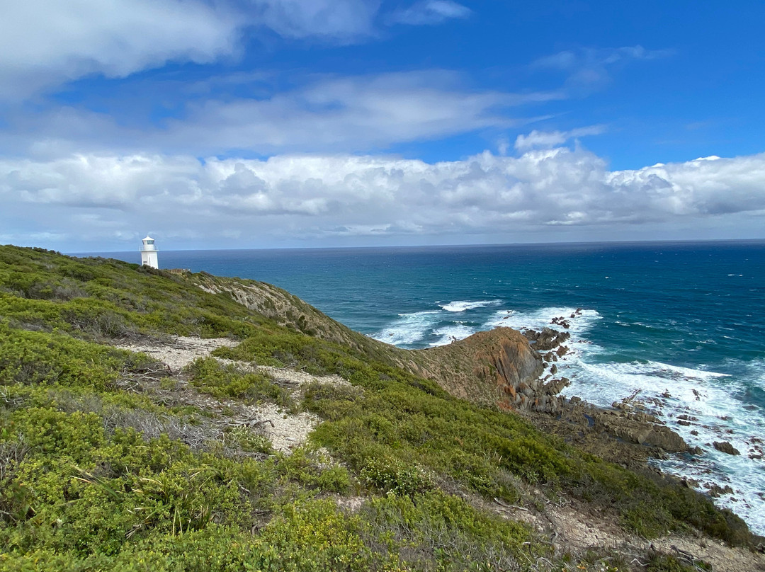 Cape Liptrap Lighthouse-Tarwin Lower必去景点