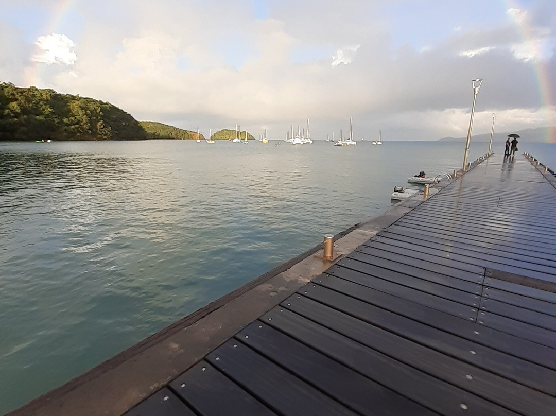 Martinique Plongée - Snorkeling - Chasse - Apnée-Trois-Ilets必去景点