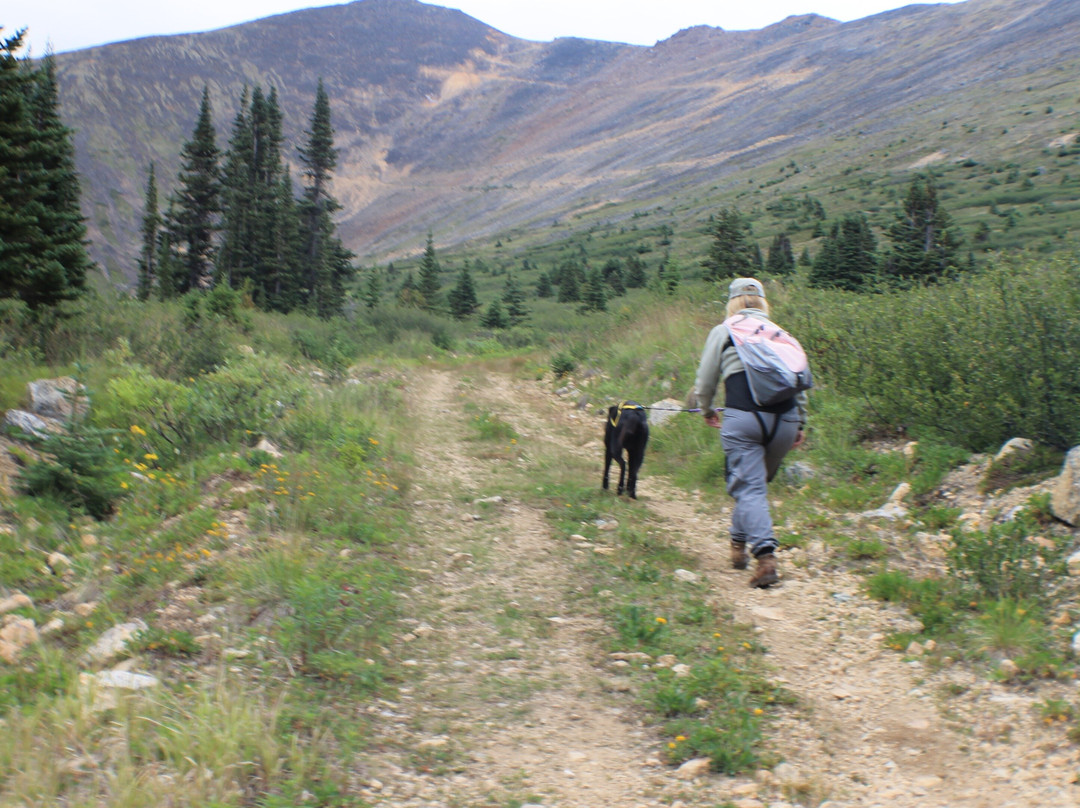 Atlin Backcountry Adventures-Atlin必去景点