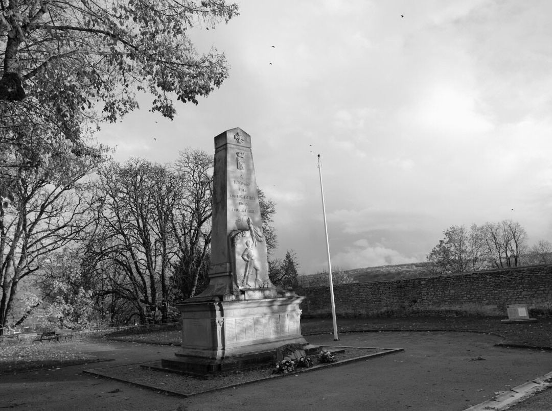 Monument Aux Morts De Montbard景点图片