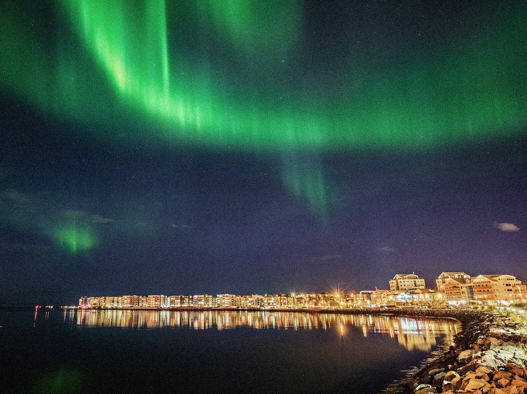 null-雷克雅未克