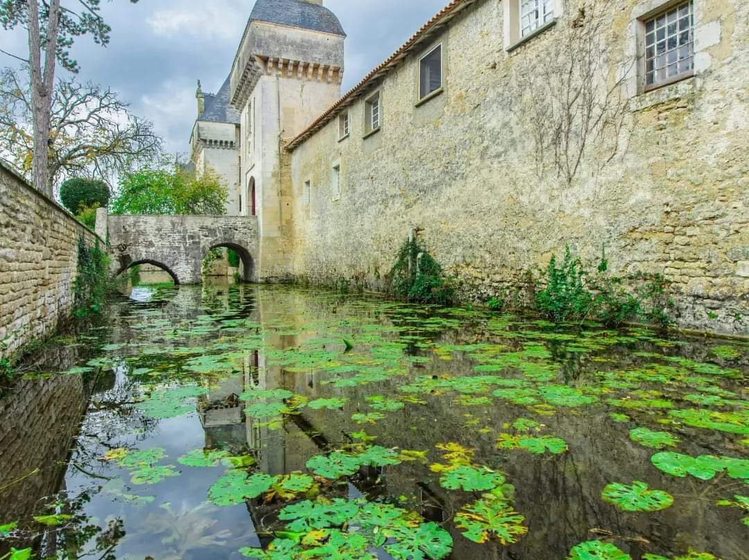 Château De Mornay 17