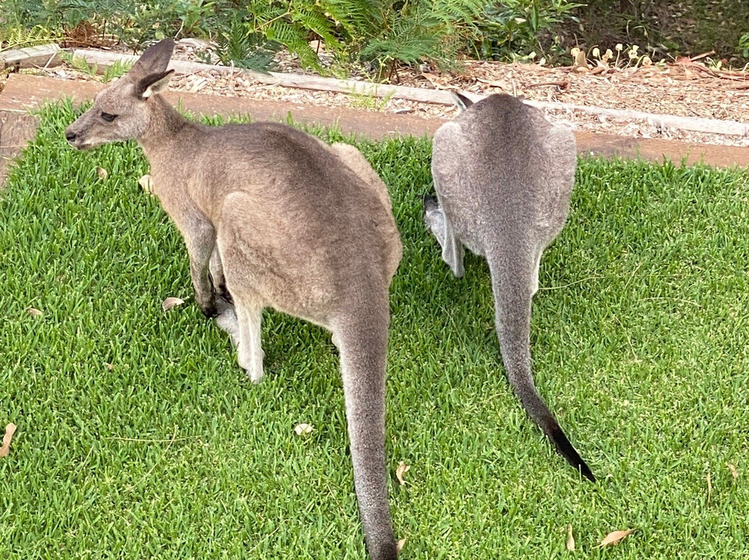 The Edgewater on Greville主图