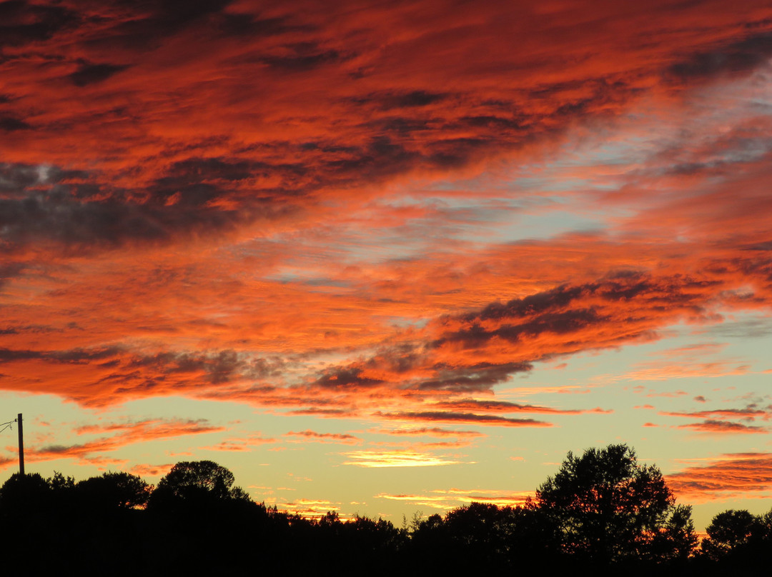 The Dragonfly Trail-Silver City必去景点