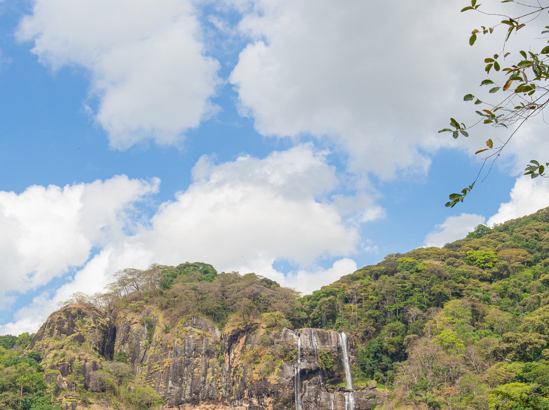 null-Udzungwa Mountains National Park