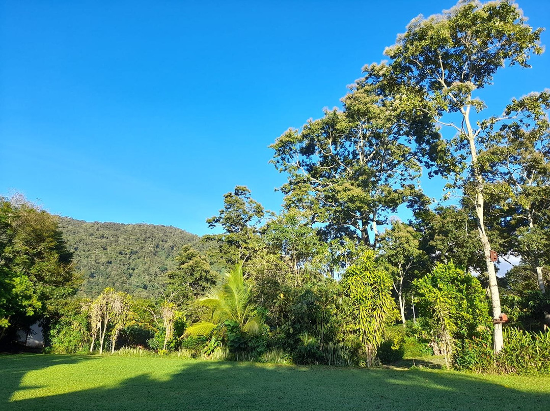 Pacuare River旅游攻略图片