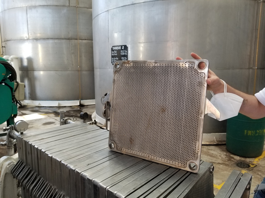 Vinicola San Patricio-Tequisquiapan必去景点