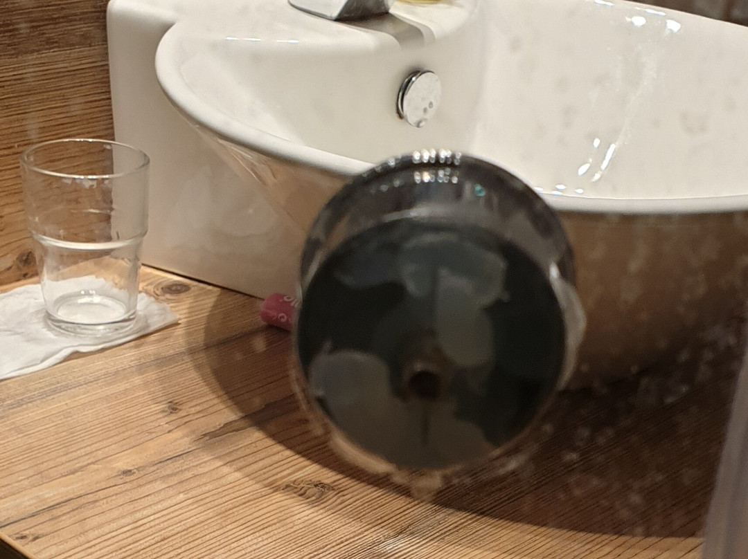 斯坦恩舒乐霍夫酒店主图