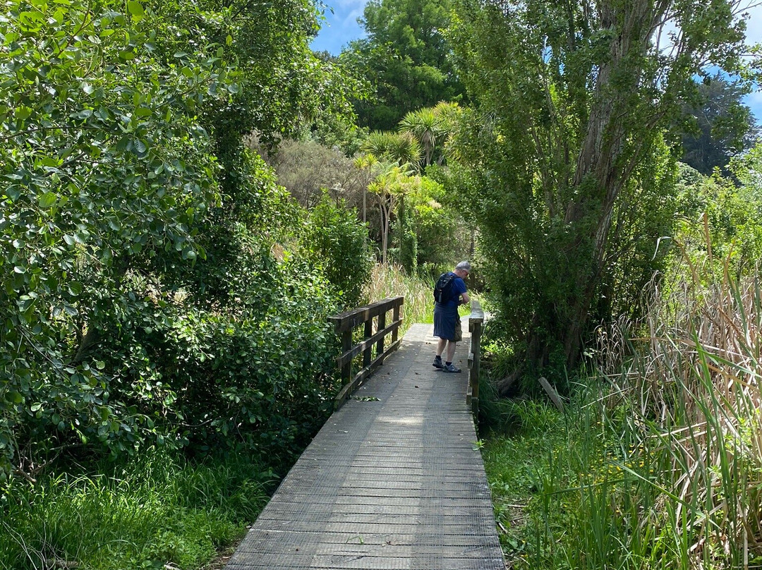 Johnson Reserve-陶兰加必去景点