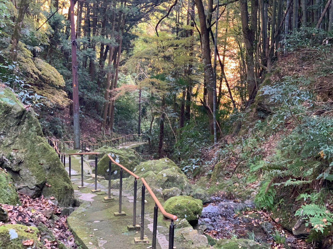 Otome Mountain Path Maria Cathedral-津和野町必去景点