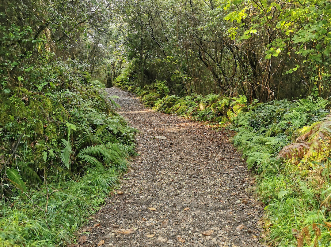 El Camino De Santiago-圣地亚哥德孔波斯特拉必去景点
