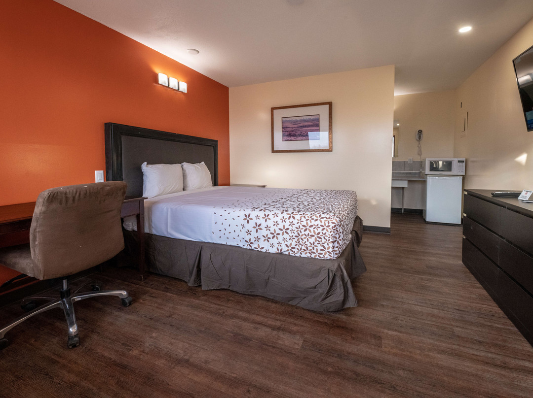 Leader旅游攻略图片