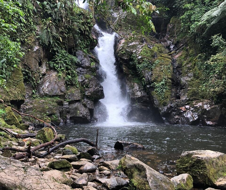 Cachoeira Do Cha-Tapirai必去景点