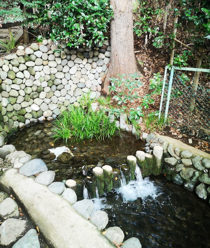 Otaka no Michi Spring Park-国分寺市必去景点