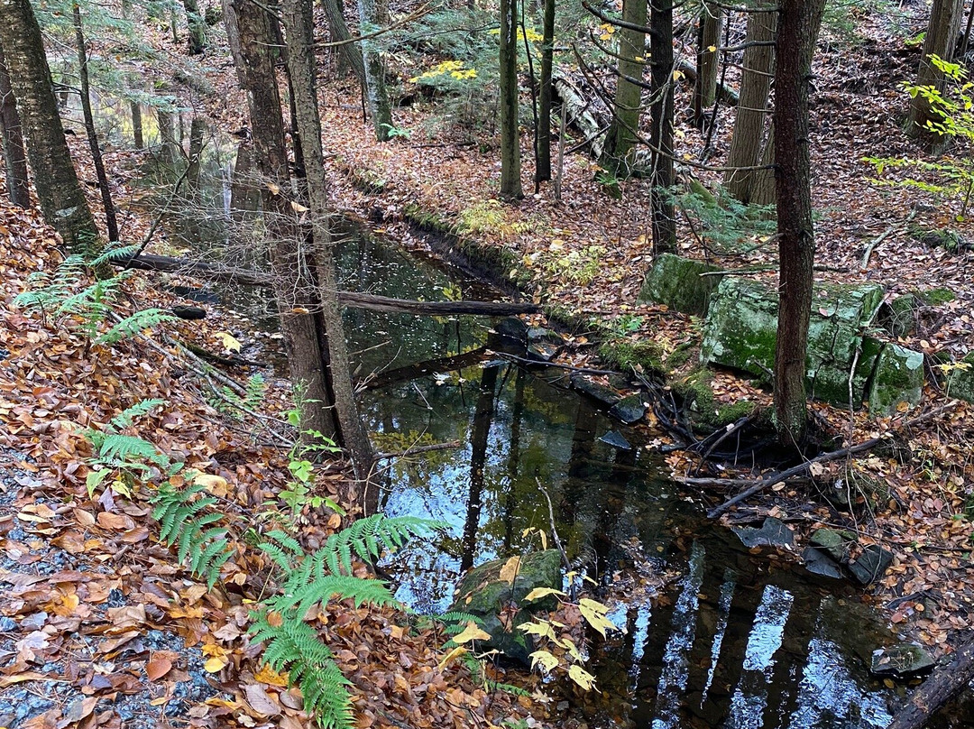 Warren County Bikeway-乔治湖必去景点