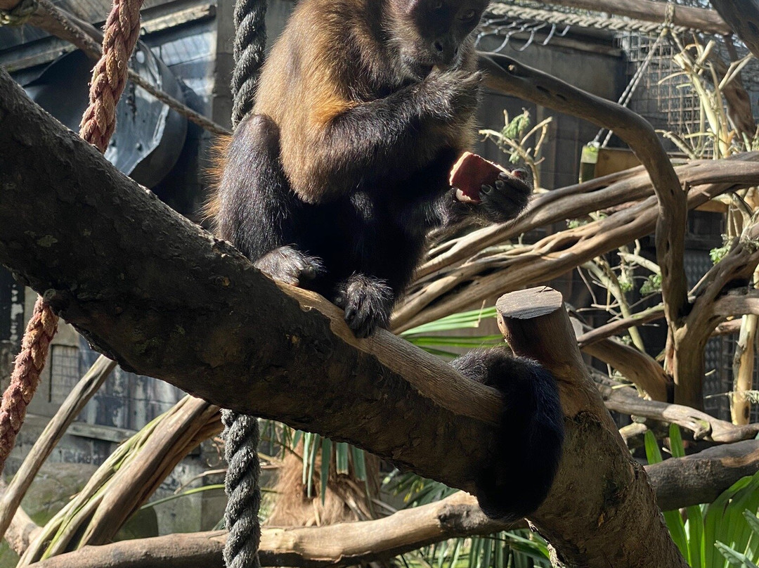 Natureland Zoo景点图片