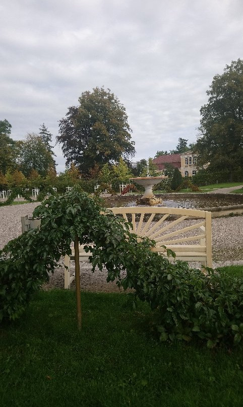 Schloss Neustrelitz景点图片