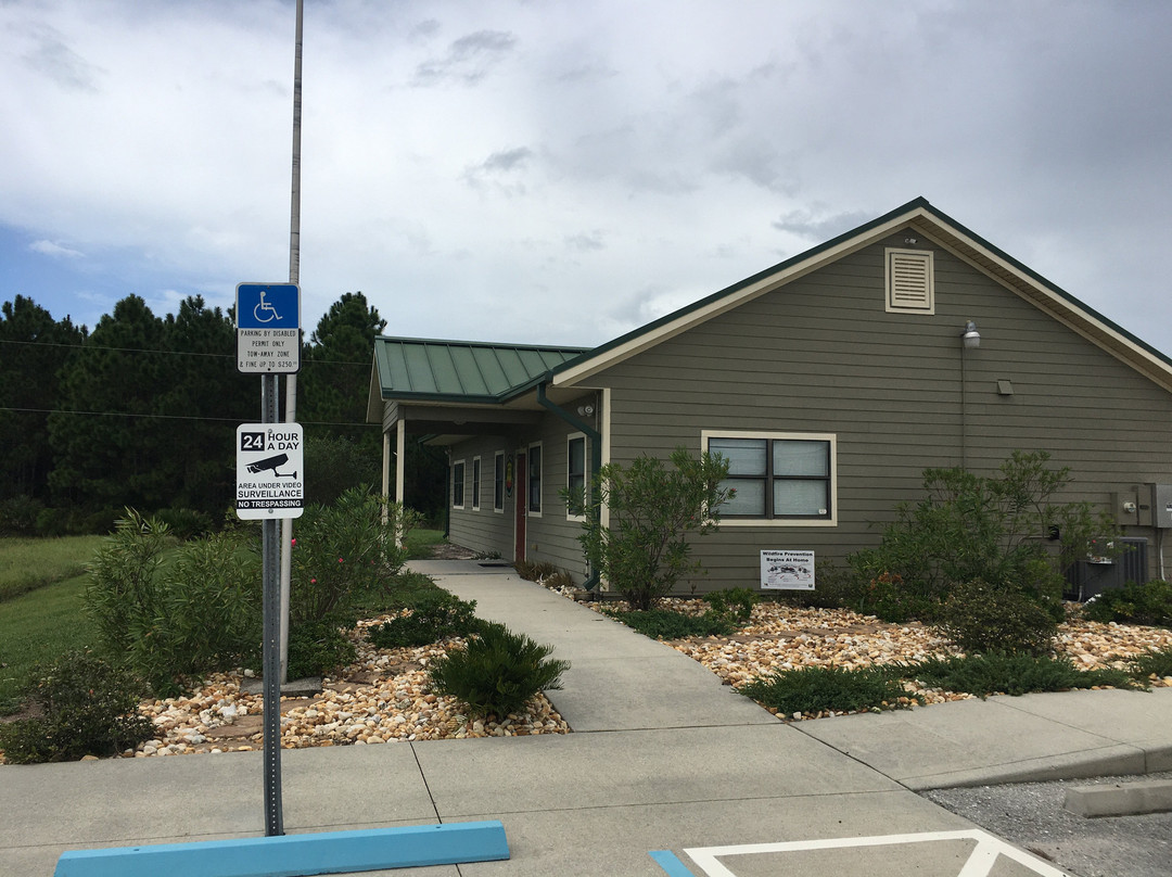 Myakka State Forest-恩格尔伍德必去景点