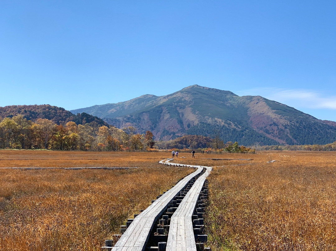 Oze National Park景点图片