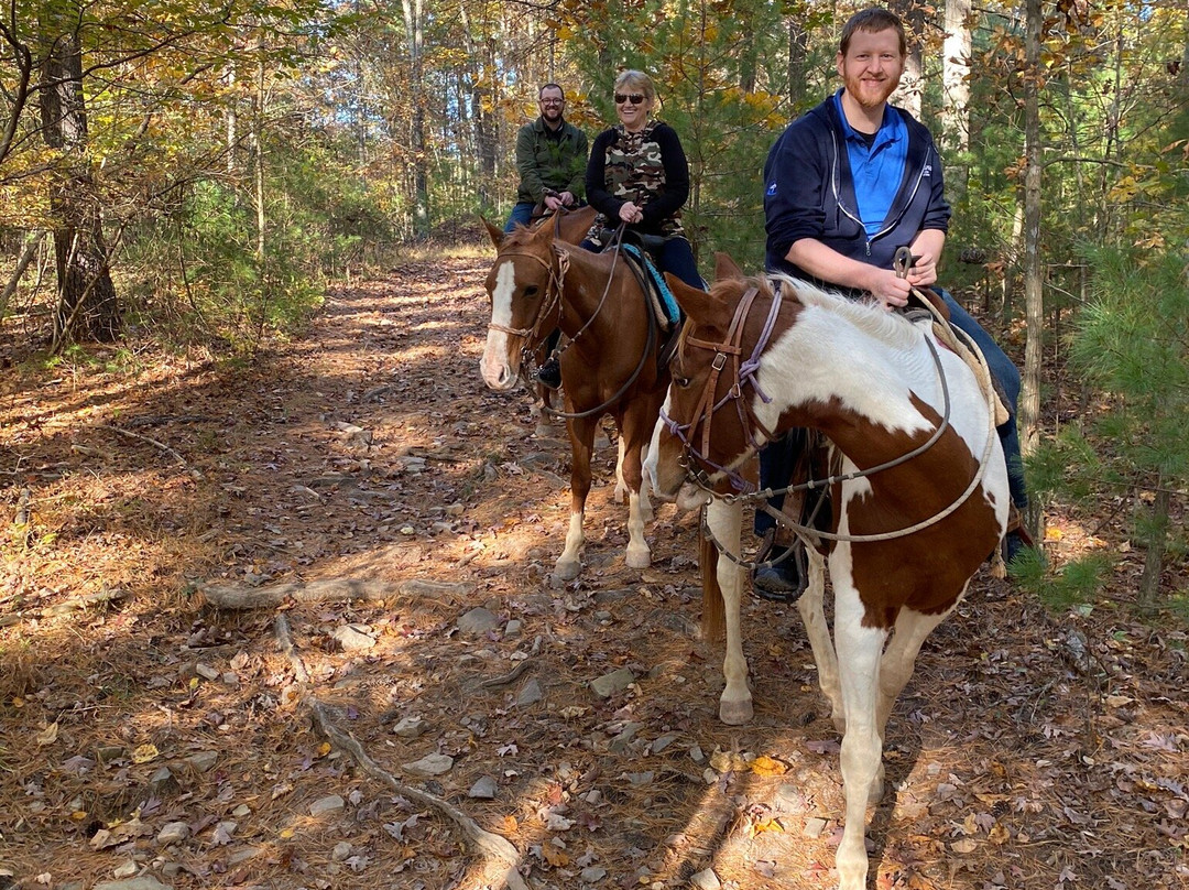Rocking S Ranch-温切斯特必去景点
