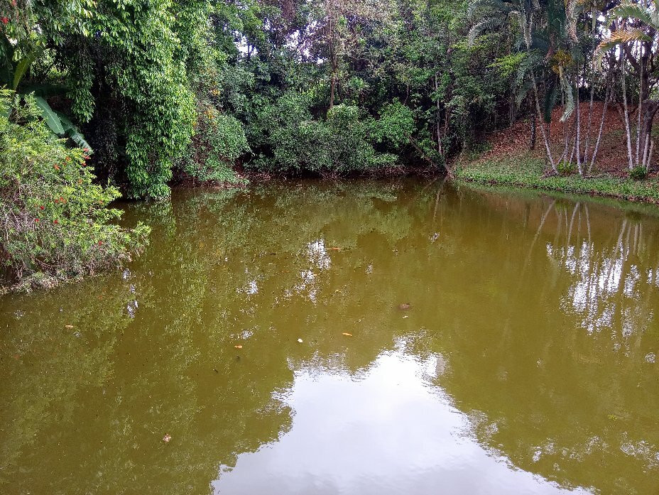 Parque Natural Municipal da Água Vermelha João Câncio Pereira-索罗卡巴必去景点