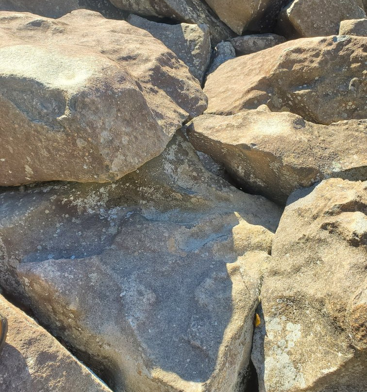 Ringing Rocks County Park景点图片