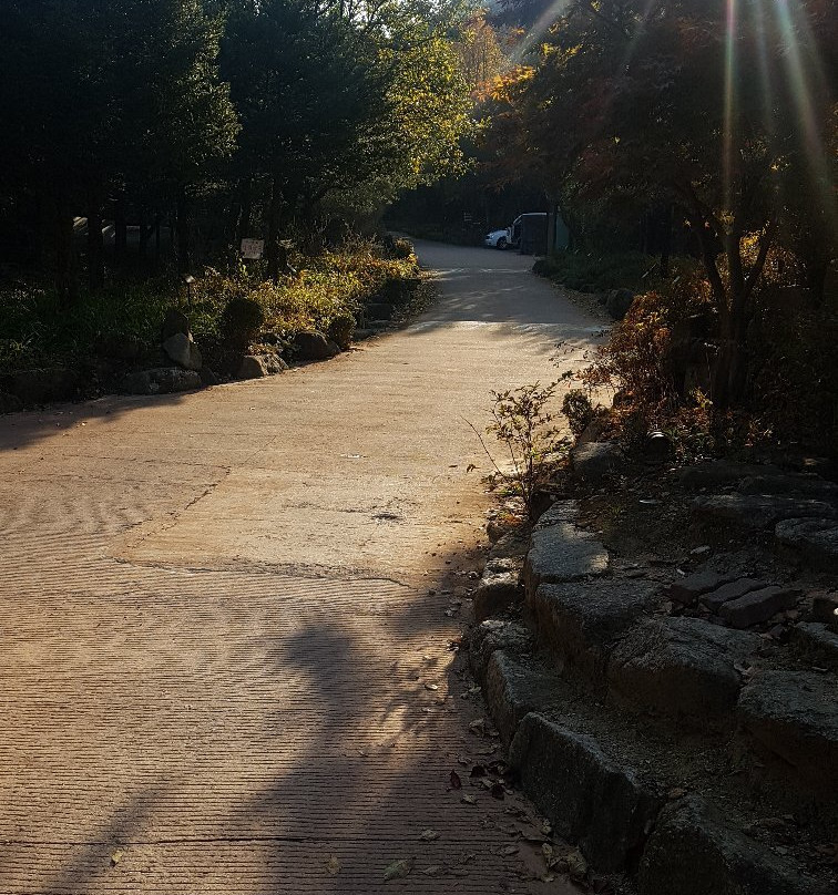 Buljung Natural Recreation Forest-闻庆市必去景点