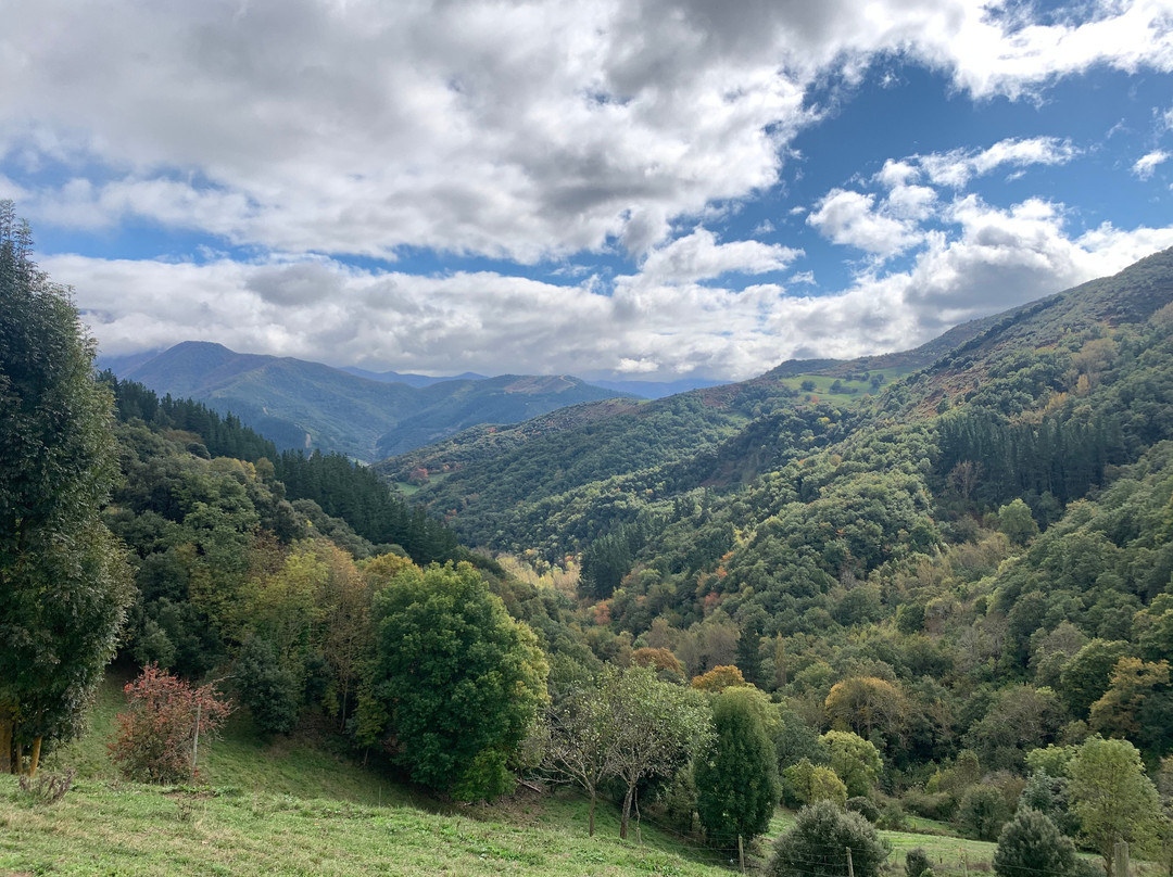 Posada Rural Viñon - Casa Reda主图