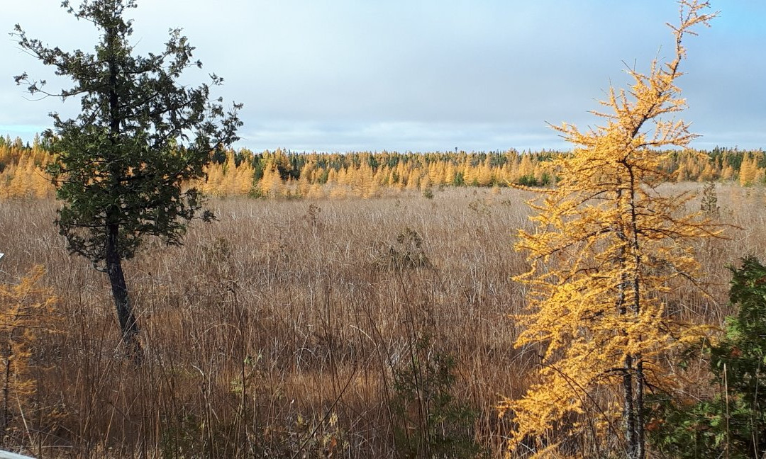 Brokenhead Wetland Interpretive Trail-Scanterbury必去景点
