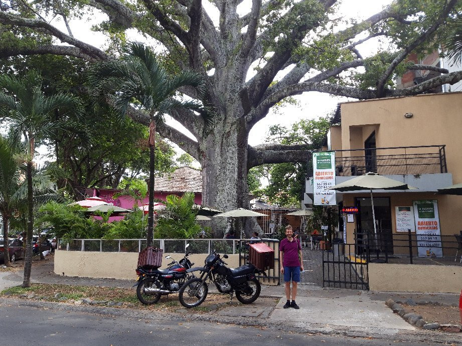 Parque del Perro-卡利必去景点