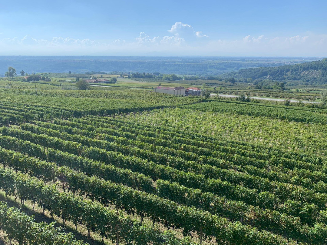Luca Marenco Viticoltore Azienda Agricola-巴罗洛必去景点