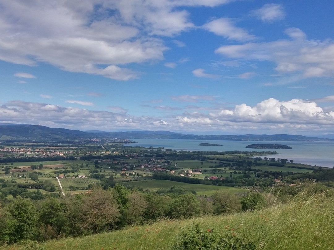 Castello di Montegualandro-Tuoro sul Trasimeno必去景点