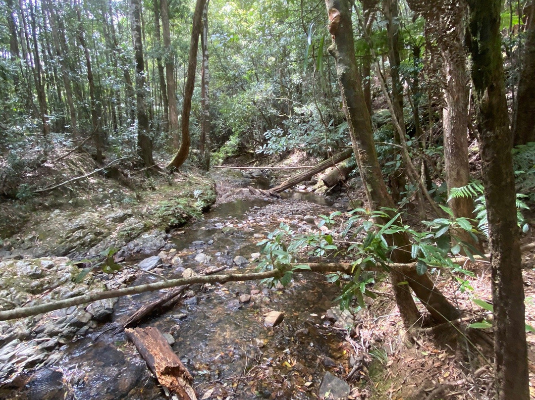 Bindarri National Park景点图片