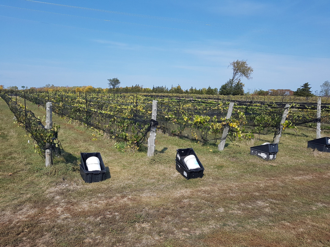 Del-Gatto Estates-Waupoos必去景点