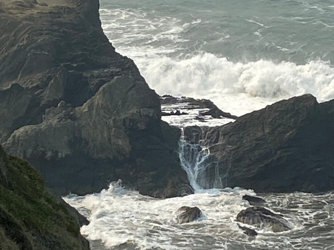 Otter Point State Recreation Site景点图片