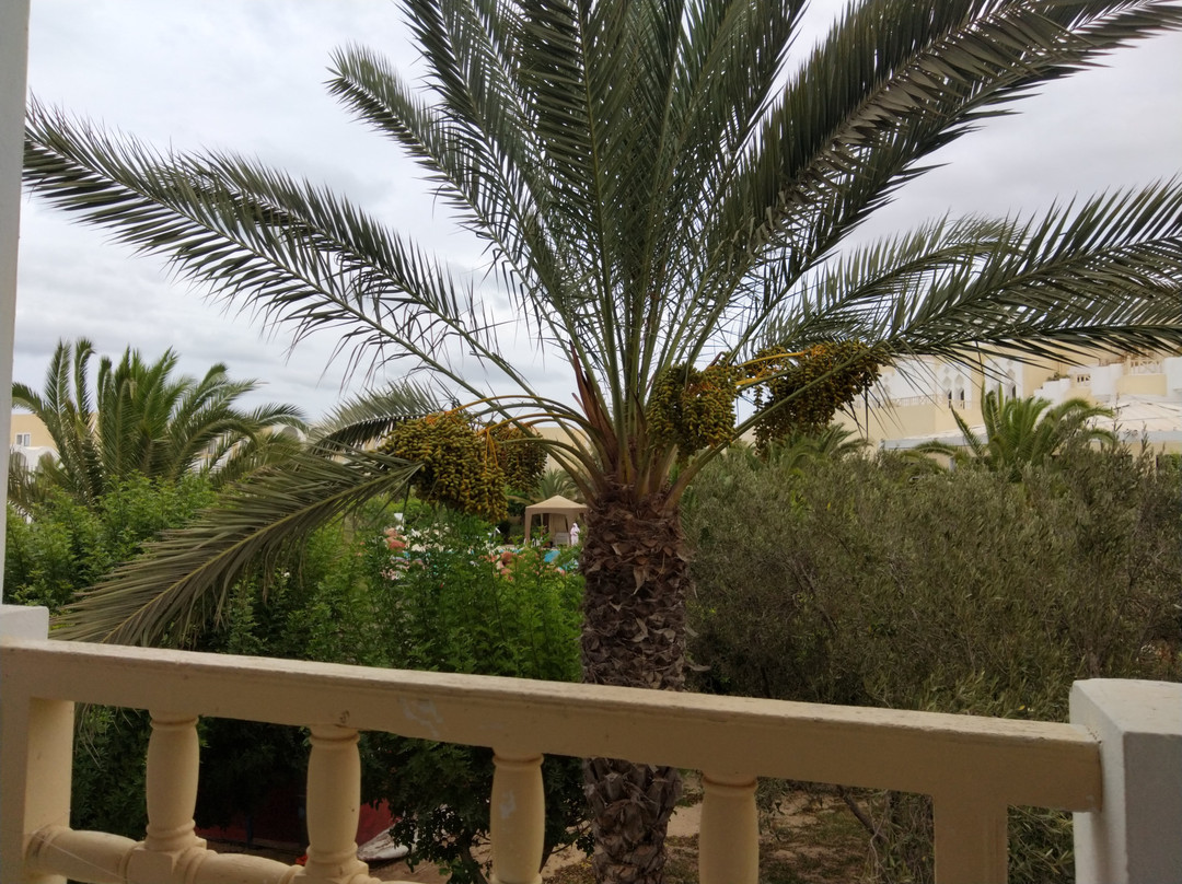 Hôtel Joya Paradise & SPA Djerba主图