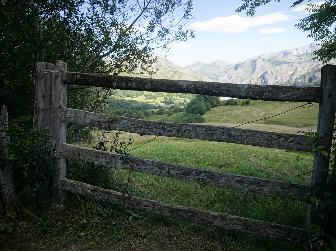 Parque Natural de Ponga景点图片