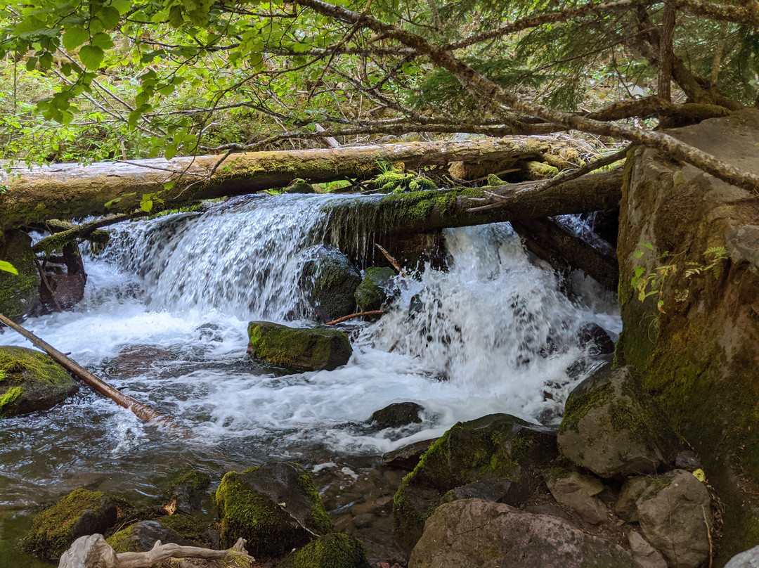Tamanawas Falls Trail-胡德里弗必去景点