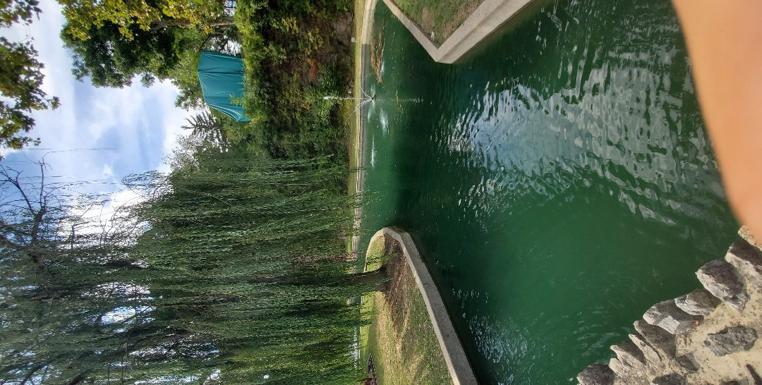 Sunken Gardens景点图片